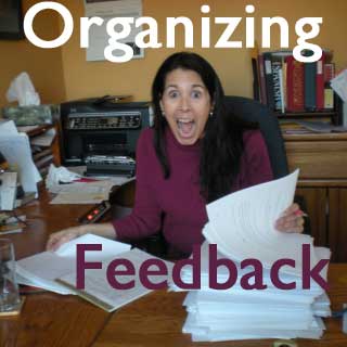 Novel Critique: Organizing Group Feedback