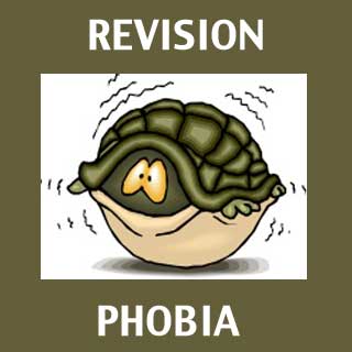 Revision Phobia: Letting Go