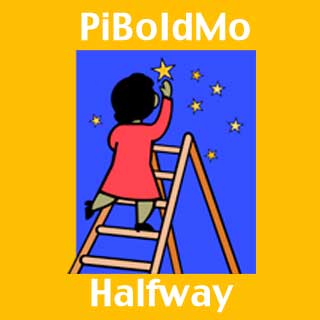PiBoIdMo (almost) Halfway Report