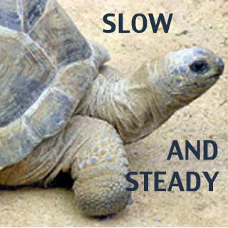 Slow and Steady